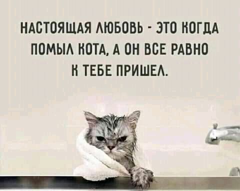 НАСТОЯЩАЯ АЮБОБЬ ЭТО НОГдА ПОМЫА КОТА А ОН ВОЕ РАВНО Н ТЕБЕ ПРИШЕА