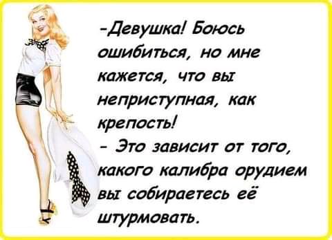 Дгнушка Боюсь ошибиться но мне кажется что вы неприступная как крепость Это зависит от того какого калибра орудием вы собираетесь гг штурмовать