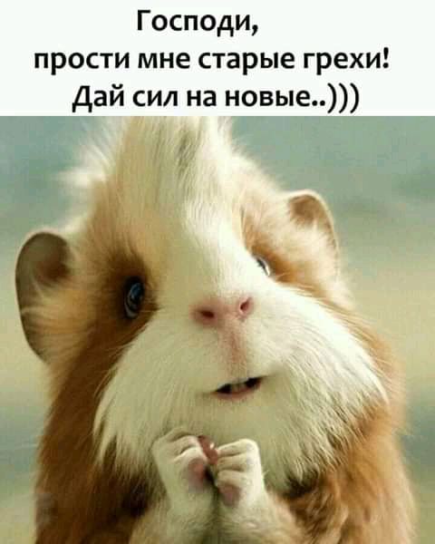Господи прости мне старые грехи Дай сил на новые