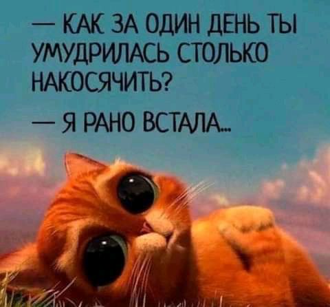 КАК ЗА ОДИН ДШЬ ТЫ УМУДРИЛАСЬ СТОЛЬКО НАКОСЯЧИТЬ Я РАНО ВСТАЛА_