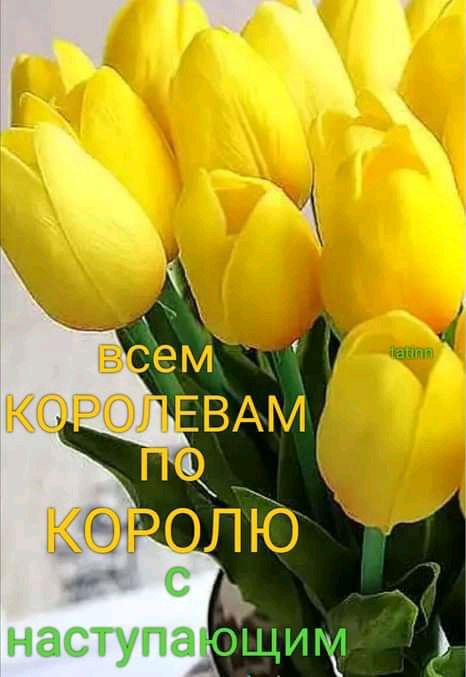 КОРОЛЕВАМ ПО королю