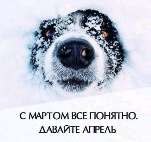 С МАРТОМ ВСЕ ПОНЯТНО ААВАЙТЕ АПРЕАЬ