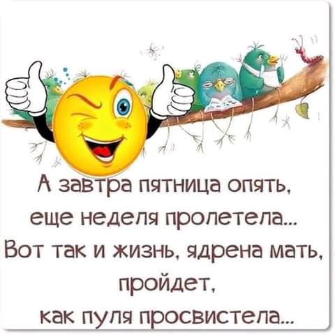 А завтра ПЯТНИЦЭ ОПЯТЬ еще неделя пролетела Вот так и жизнь ядрена мать пройдет как п пя п освистепа