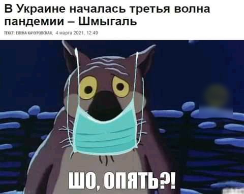 В Украине началась третья волна пандемии Шмыгапь