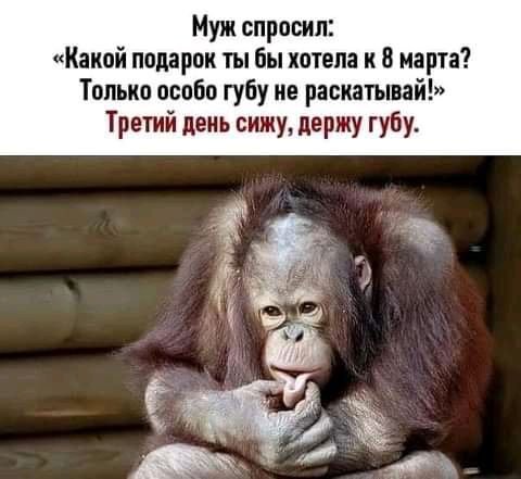 Муж спросил Какой подарок ты Бы хотела и 8 марта Только особо губу ие раскатывай Третий день сижу держу губу