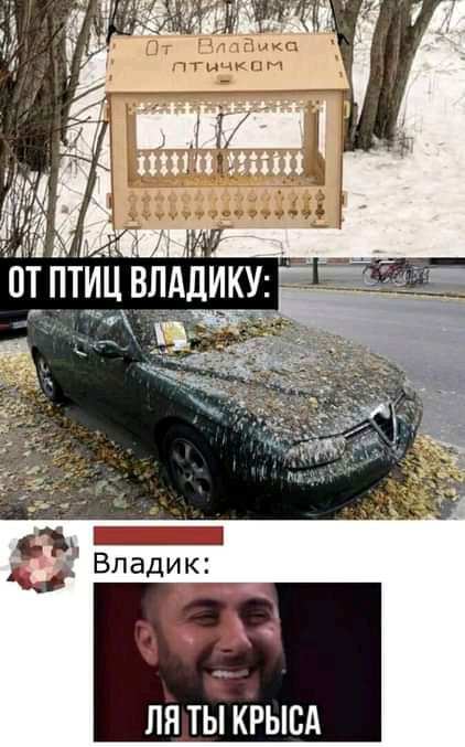 пя ты крысд