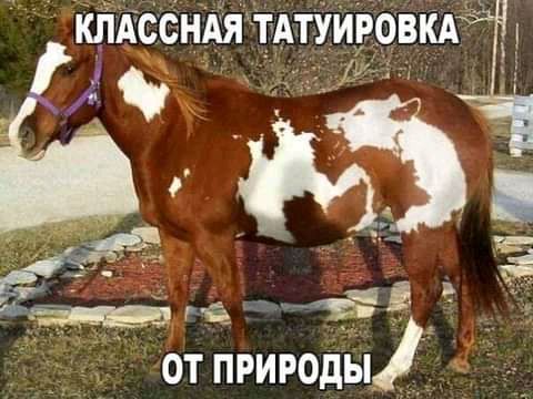 ОТ ПРИРОДЫ