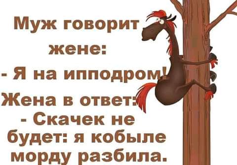 Муж говорит жене я на ипподро Жена в ответ Скачек не будет я кобыле морду разбила