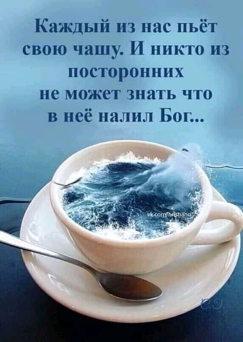 Каждый из нас пьёт свою чашу и никто из посторонних не может знать что в неё налил Бог