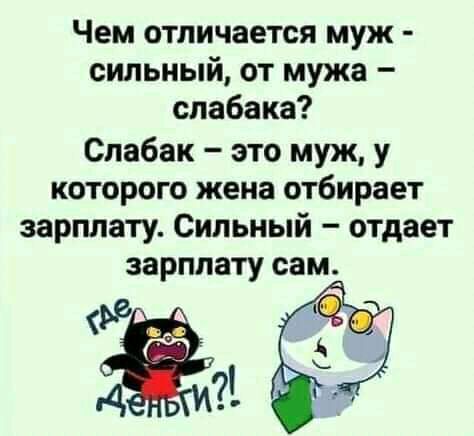 Чем отличается муж сильный от мужа спабака Спабак это муж у которого жена отбирает зарплату Сильный отдает зарплату сам