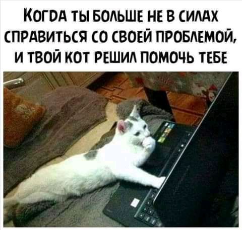 Не поможет тебе телефон