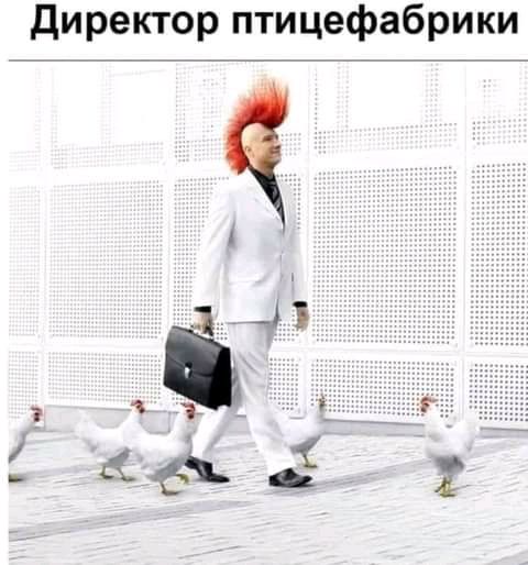 директор птицефабрики