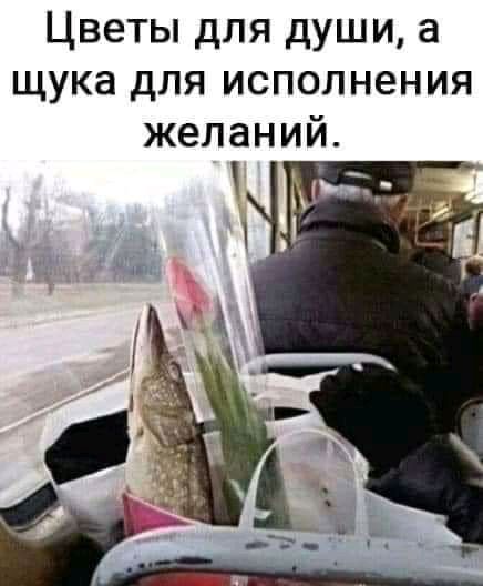 Цветы для души а щука для исполнения желаний