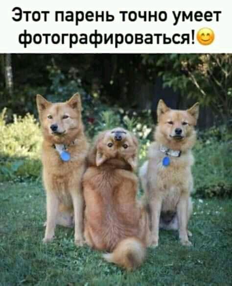 Этот парень точно умеет фотографироваться0 ___ дп 3 51 а Я _