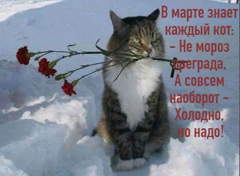 сила 5 _ ь_ш_ _
