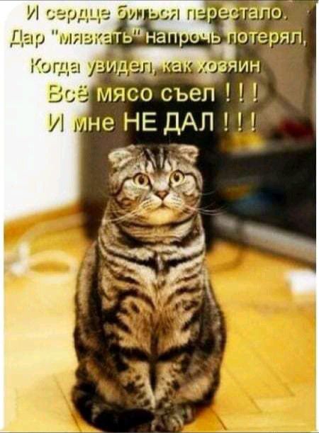 Дарми отеряп Когда аяин мясо съел