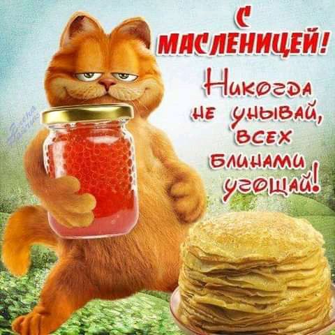 ТП ВНШ _ Ш Ныкфэрд ис удивил _