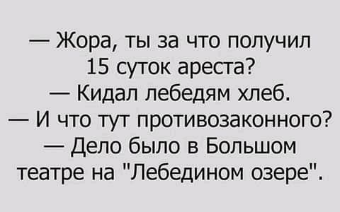 Жора ты за что получил 15 суток ареста Кидап лебедям хлеб И что тут противозаконного Дело было в Большом театре на Лебедином озере
