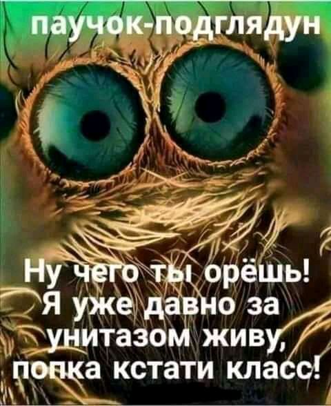 УЖёдЁг 0 за цщитазо живу ЖЗ кстати кпа ЧД _