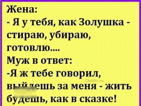Жена Я у тебя как Золушка стираю убираю готовлю Муж в ответ Я ж тебе говорил выйдешь за меня жить будешь как в сказке
