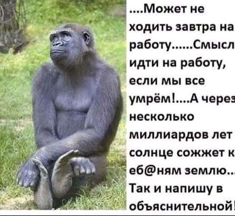 Может не ходить завтра на работу Смысл идти на работу если мы все умрёмА чере 1 несколько миллиардов лет солнце сожжет к _ е6ням землю Так и напишу в объяснительной