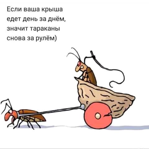 Если ваша крыша едет день за днём значит тараканы снова за рулём