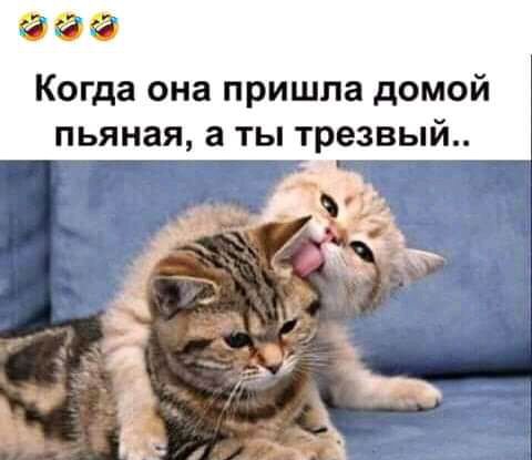 Когда она пришла домой пьяная а ты трезвый
