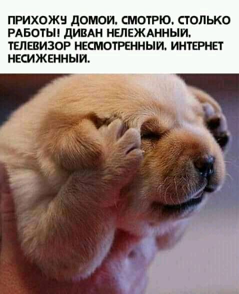 ПРИХОЖН ДОМОИ СМОТРЮ СТОЛЬКО РАБОТЫ дИВАН НШЕЖАННЫИ ТЕЛЕВИЗОР НЕСМОТРЕННЫИ ИНТЕРНЕТ НЕСИЖЕННЫИ