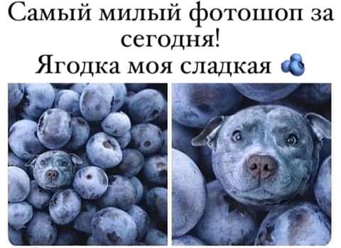 Самый милый фотошоп за сегодня Ягодка моя сладкая рк А