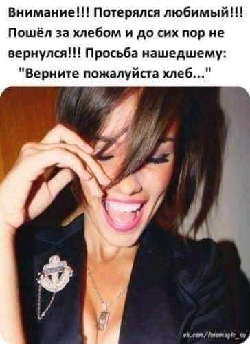 Внимание Потерялся любимый Пошёл за хлебом и до сих пор не вернулся Просьба нашедшему Верните пожалуйста хлеб цы А