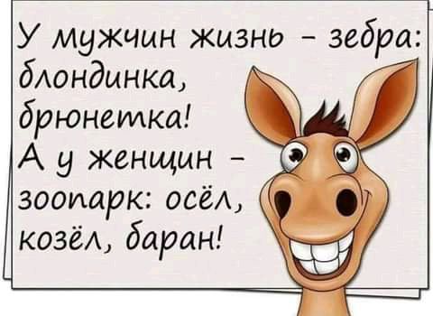 У мужчин жизни зебра Мандинка брюнетка А у женщин зоопарк всё козёА баран