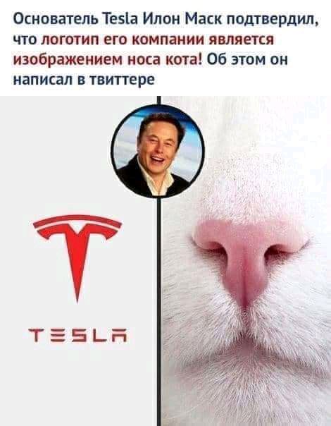 Основатель Тезіа Илон Маск подтвердил что логотип его компании является изображением носа кота Об этом он написал в твитгере