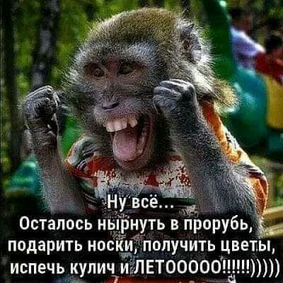 ц Осталось н нуть в прорубь подарить но ііолучить цветы испечьпкупичлуівЛЕТОООО