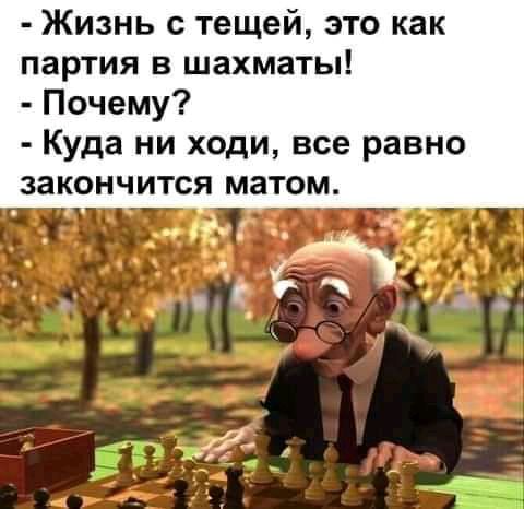 Жизнь с тещей это как партия в шахматы Почему Куда ни ходи все равно закончится МЗТОМ