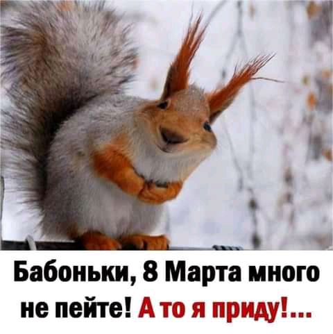 Бабоньки 8 Марта много не пейте Ат 53 тириду9