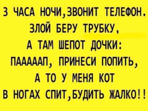 зшшжж шт Аттики тнв щ И диптишттп