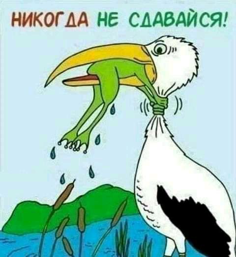 НИКОГДА НЕ СААВАЙ СЯ