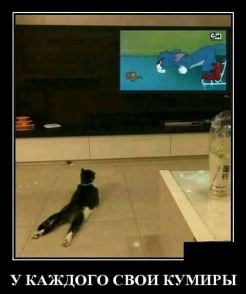 У КАЭКДОГО СВОИ КУМИРЫ