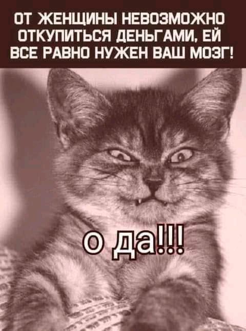 ОТ ЖЕНЩИНЫ НЕВОЗМОЖНО ОТКУПИТЬСЯ ДЕНЬГАМИ ЕЙ ВСЕ РАВНО НУЖЕН ВАШ МОЗГ