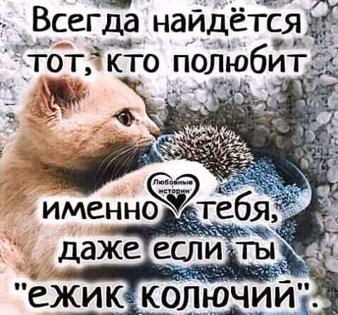 Всегда наидется п дтЬТ кто полюбит еж_ик КОЛЮГ