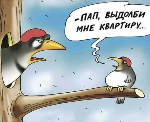 _ дп выде1514 мня химии