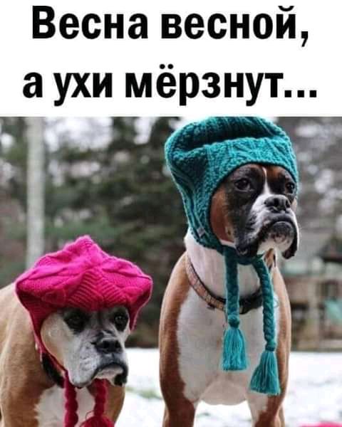 Весна весной а ухи мёрзнут д