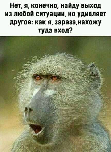 Нет я конечно найду выход из любой ситуации но удивляет другое как я заразамахожу туда вход