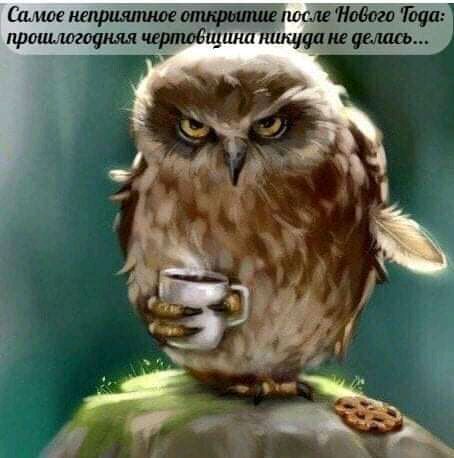 Стив шш Нового Пца пришлтошцп иммитации штудии