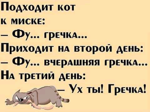 Подходит кот к мискв Фу грвчм Приходит НА второй день Фу вчерАшняя гречкд НА третий день _ Ух ты Гречкд