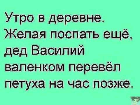 Утро в деревне Желая поспать ещё дед Василий вапенком перевёл петуха НЭ ЧЭС позже 73