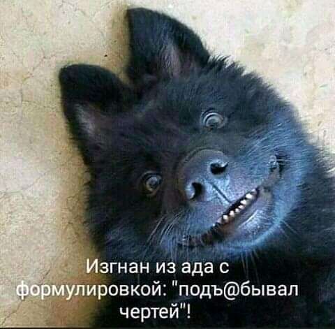 згнан из ада с ровкой подъбывал чертей