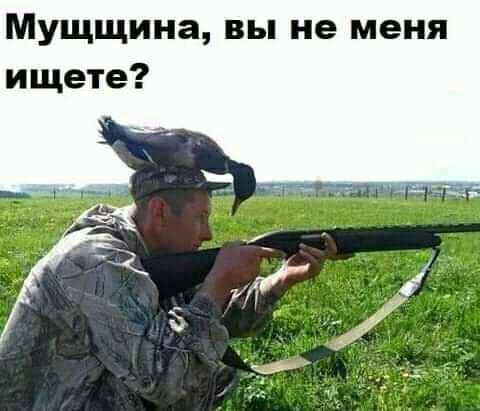 Мущщина вы не меня ищете