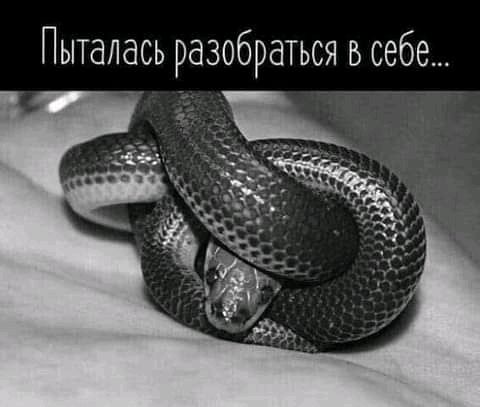 Пыталась разобраться в себе