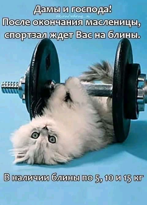 НШ гоепода После окончания виаламинат шипы 931